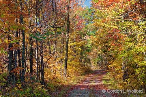 Autumn Backroad_23262.jpg - Photographed at Rideau Lakes, Ontario, Canada.